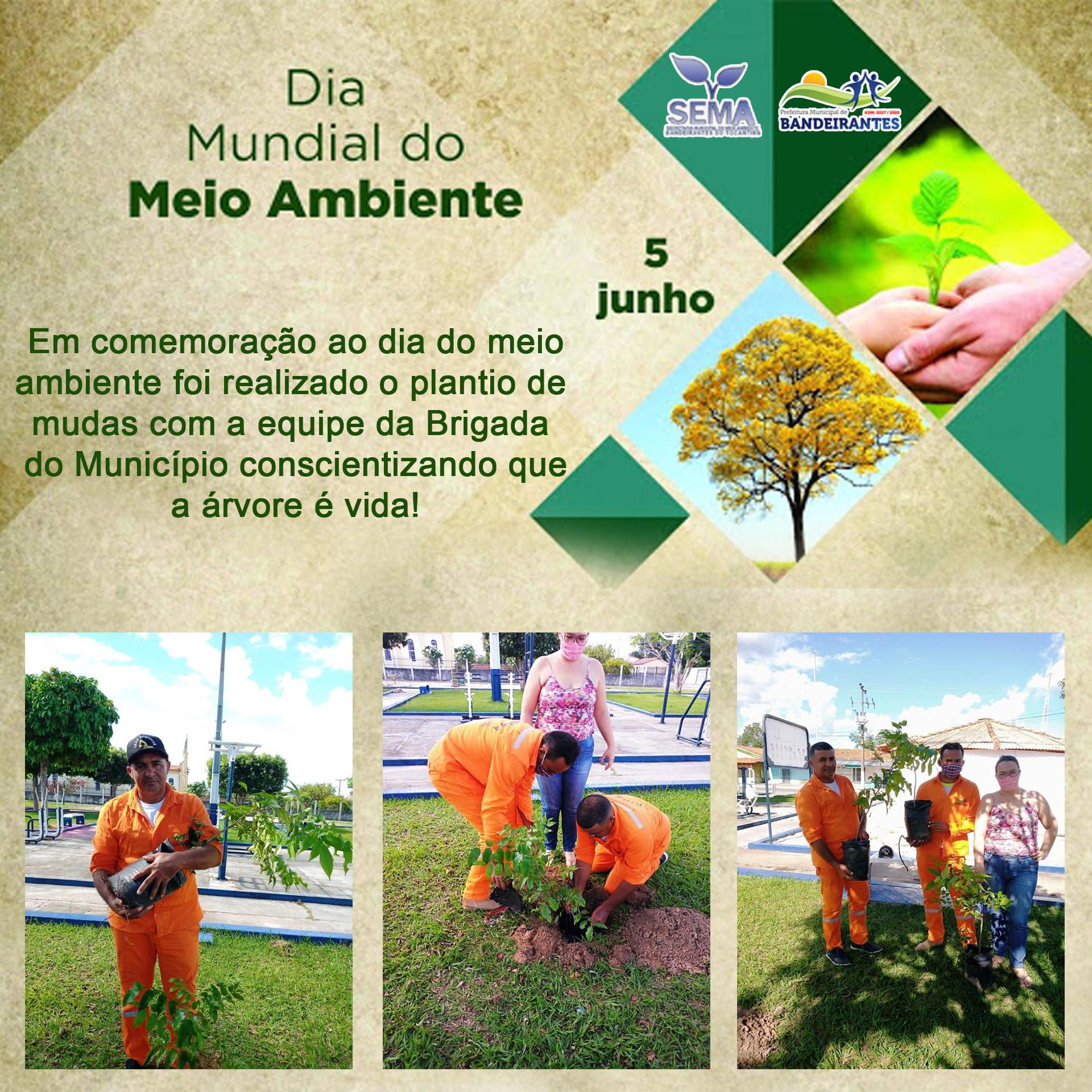 5 de Junho Dia Mundial do Meio Ambiente
